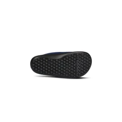 Leguanito Scio – Blue (23-28)