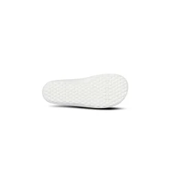 Leguanito Scio – Rose (23-28)