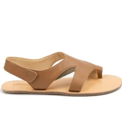 Tikki/LANG.S Gaia – Camel