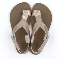 Tikki/LANG.S Soul Vegan – Shimmer