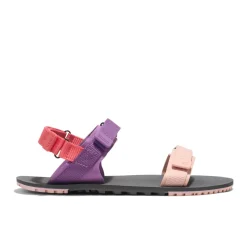 Xero Shoes D-Trail Womens – Dewberry Multi