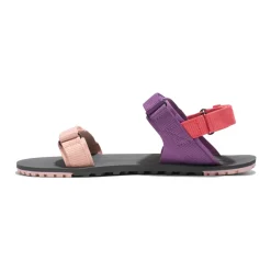 Xero Shoes D-Trail Womens – Dewberry Multi