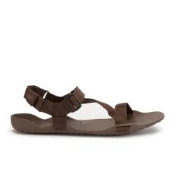 Xero Shoes Z-Trek Mens – Brown