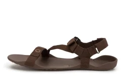 Xero Shoes Z-Trek Mens – Brown